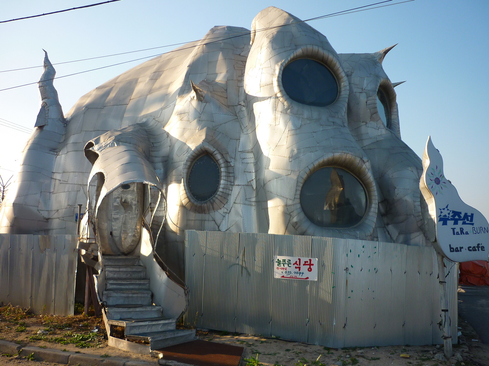 P1000641.JPG