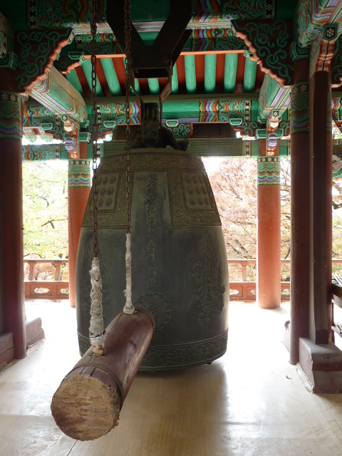 P1000856.JPG