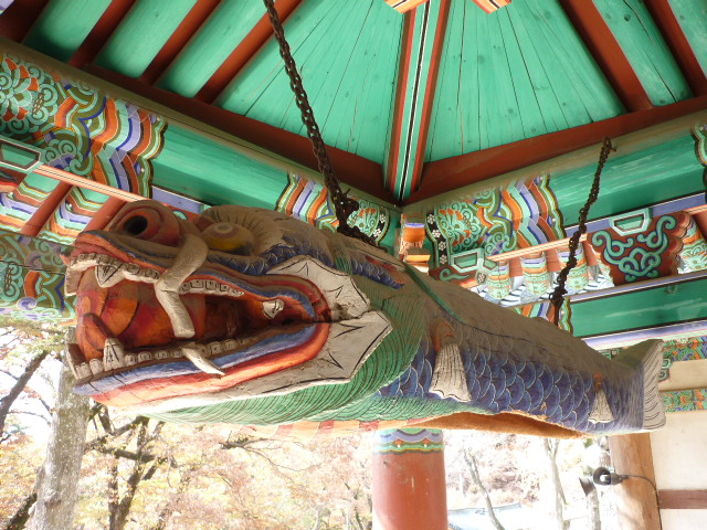 P1000857.JPG