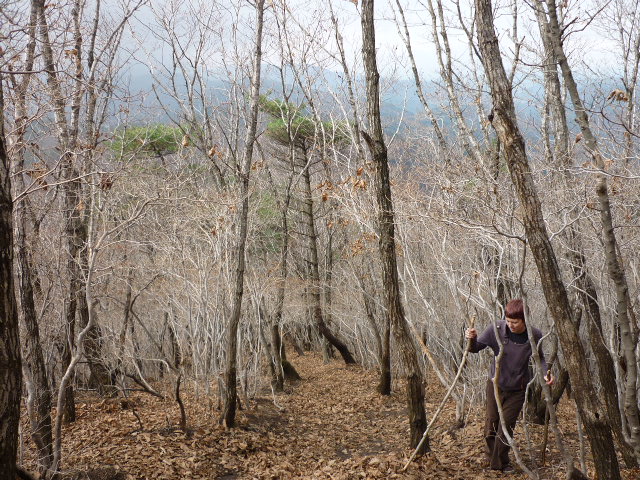 P1000863.JPG