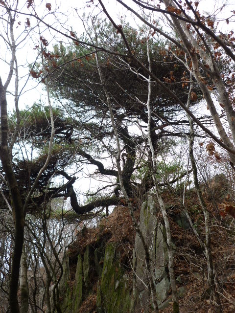 P1000864.JPG