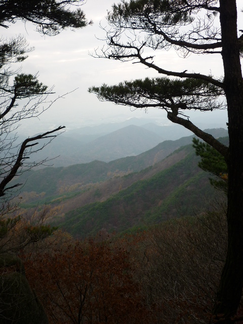 P1000868.JPG