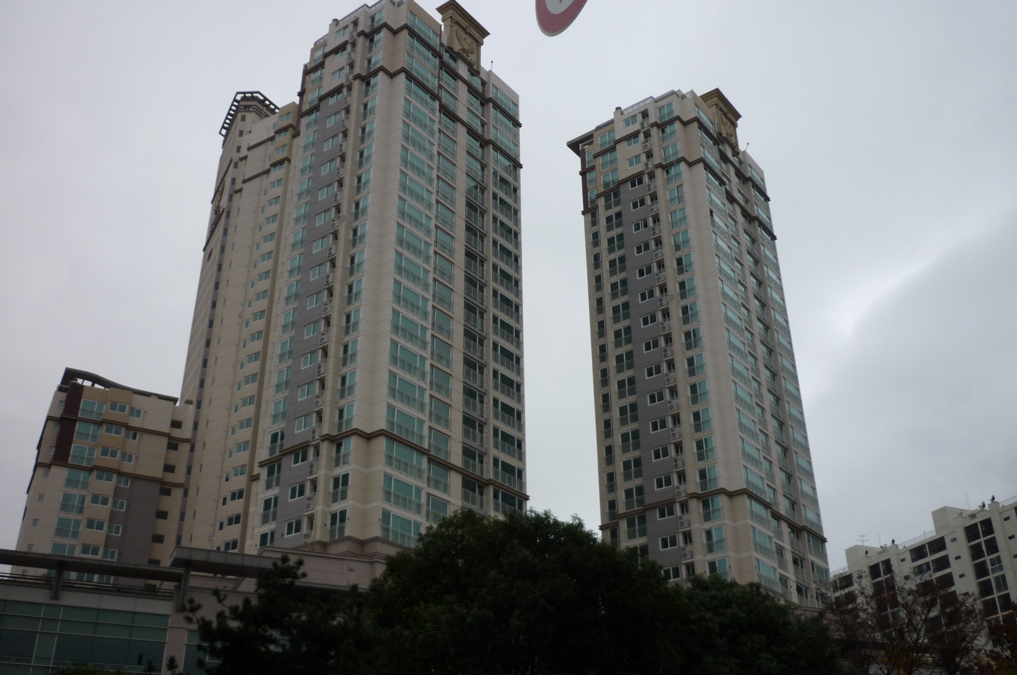 P1000875.JPG