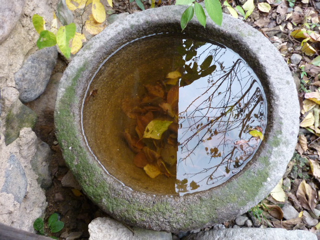 P1010134.JPG