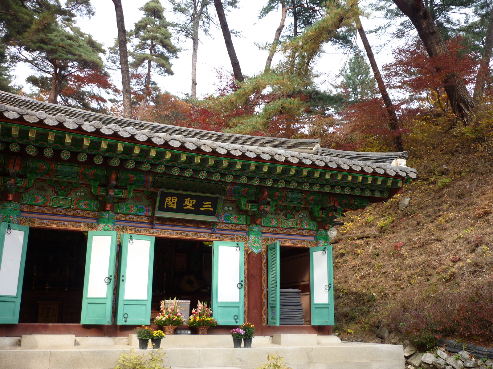 P1000218.JPG
