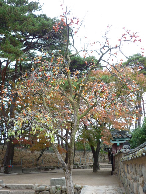 P1010187.JPG