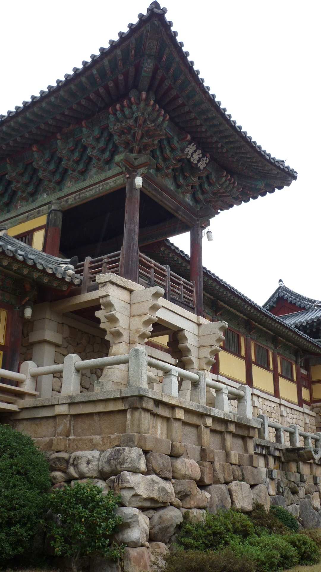 P1010189.JPG