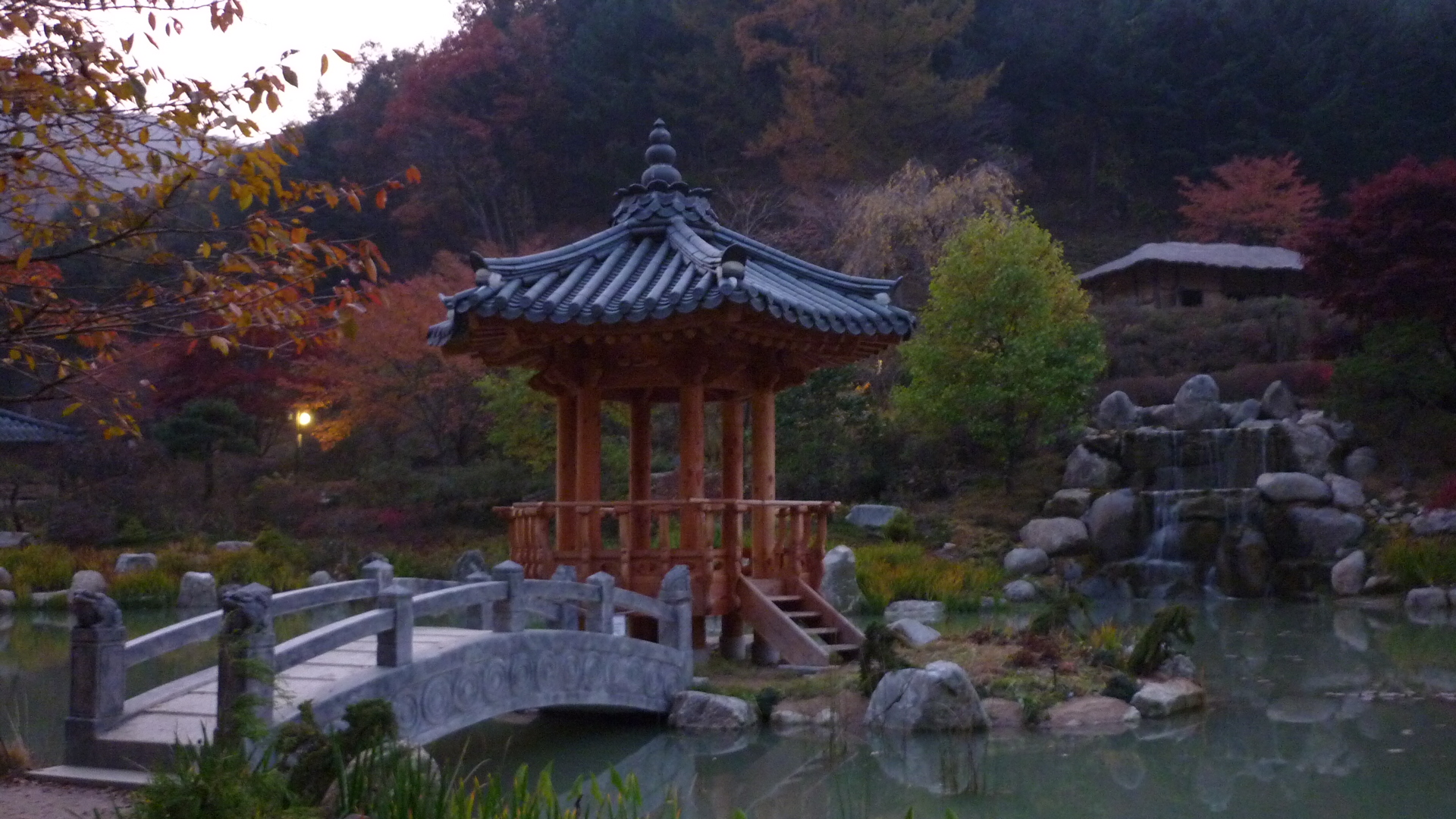 P1000220.JPG