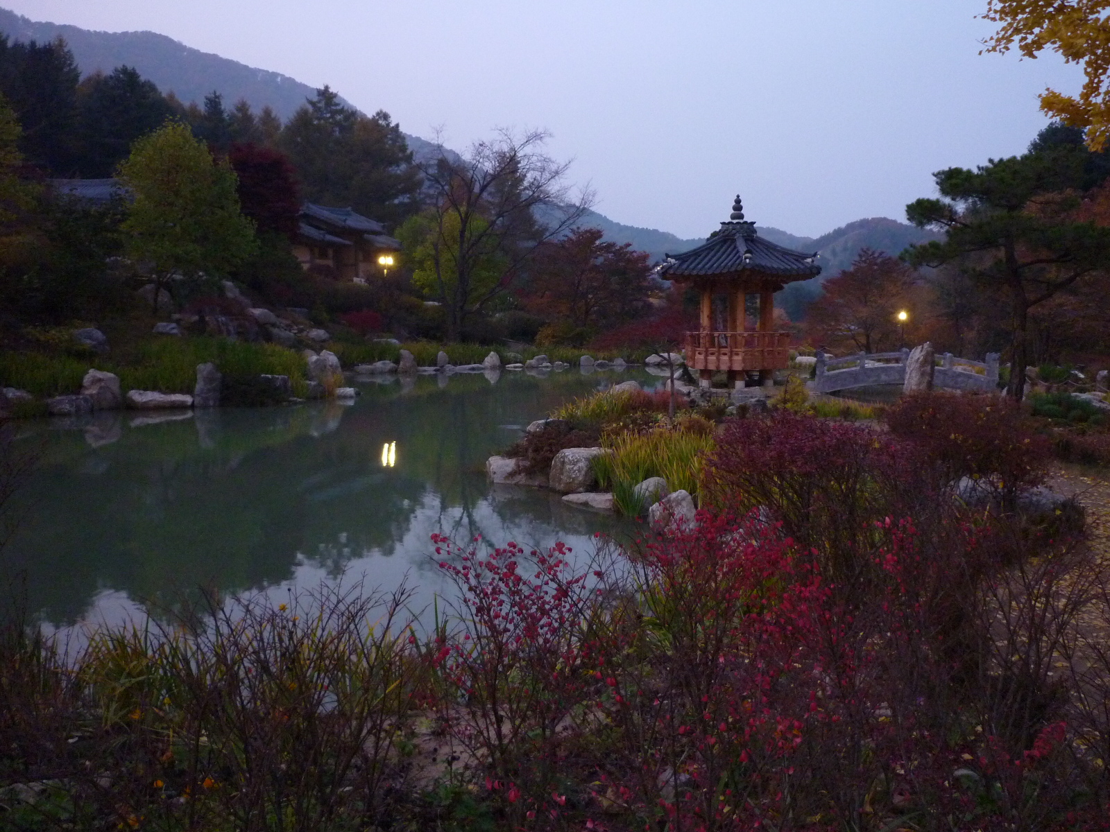 P1000221.JPG