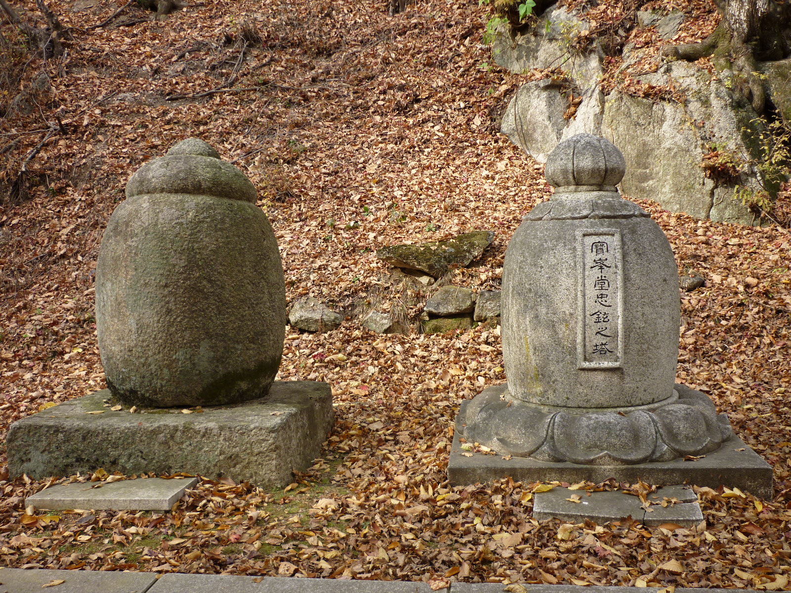 P1000231.JPG