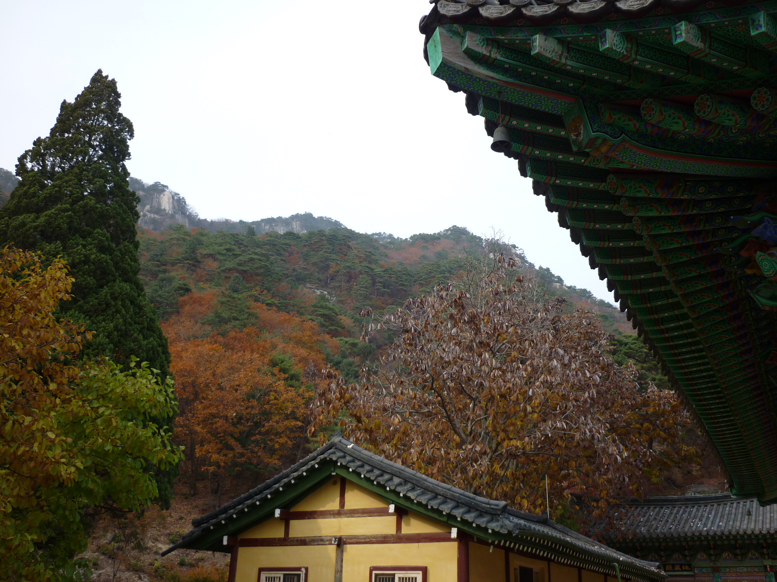 P1000230.JPG