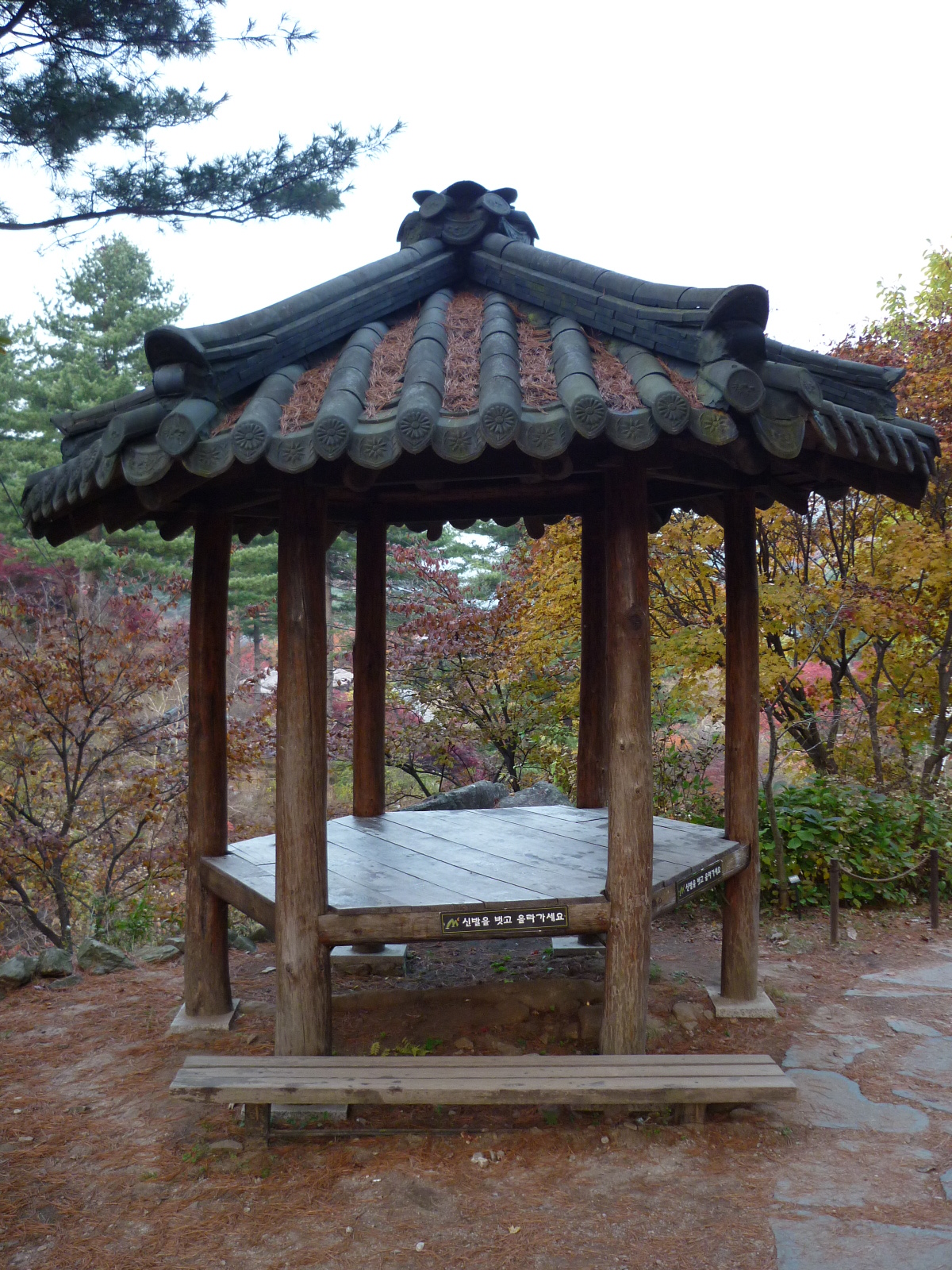 P1000224.JPG