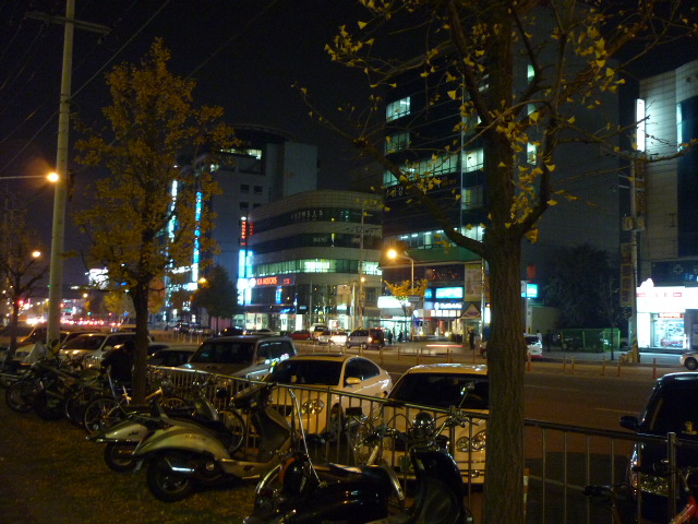 P1000356.JPG