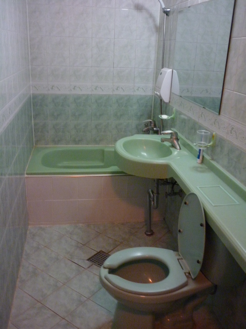 P1000394.JPG
