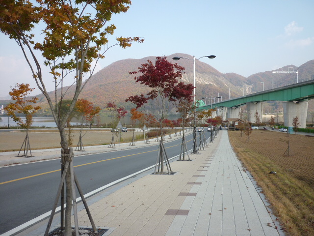 P1000398.JPG