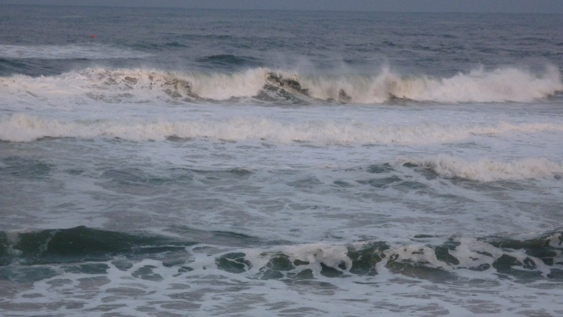 P1000421.JPG