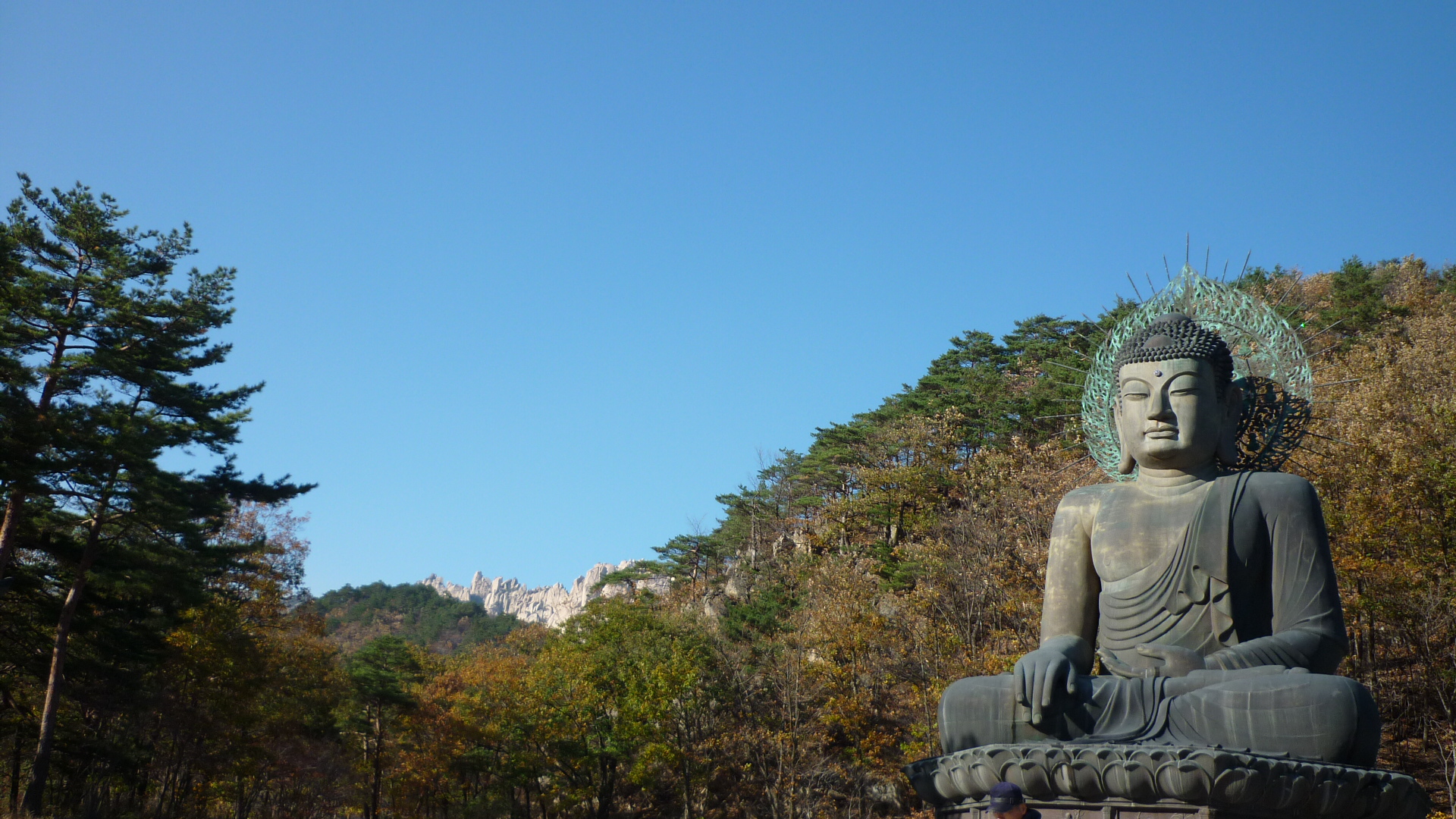 P1000519.JPG