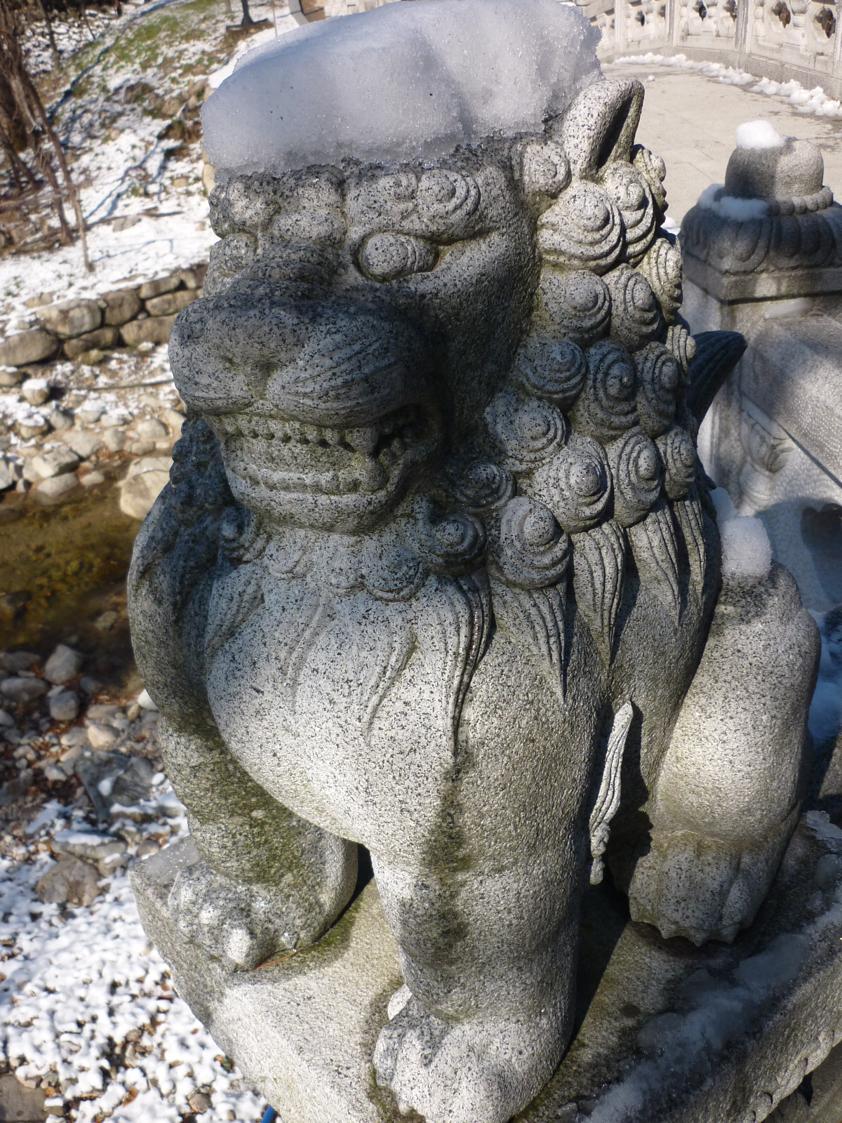 P1000504.JPG