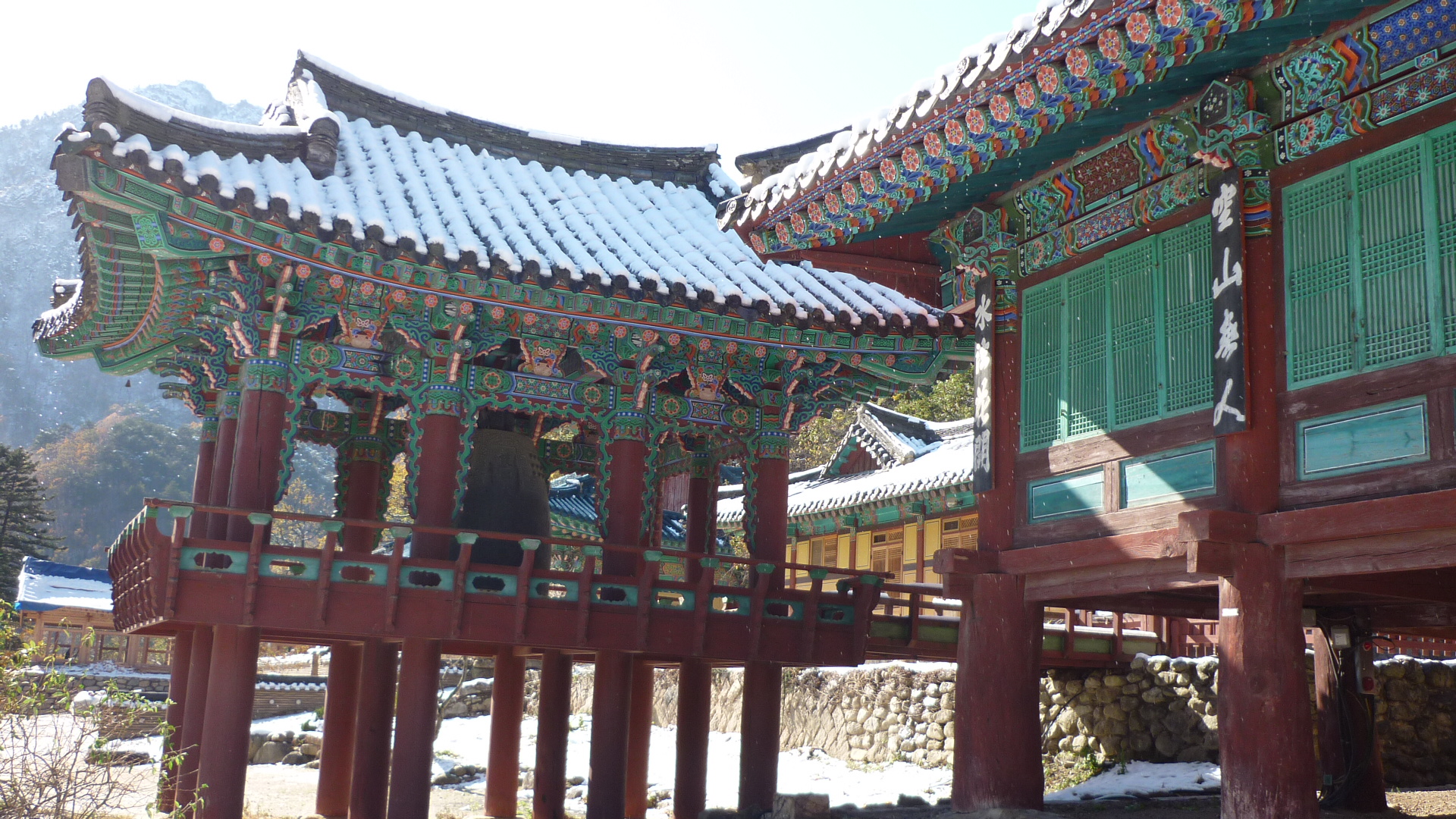 P1000506.JPG