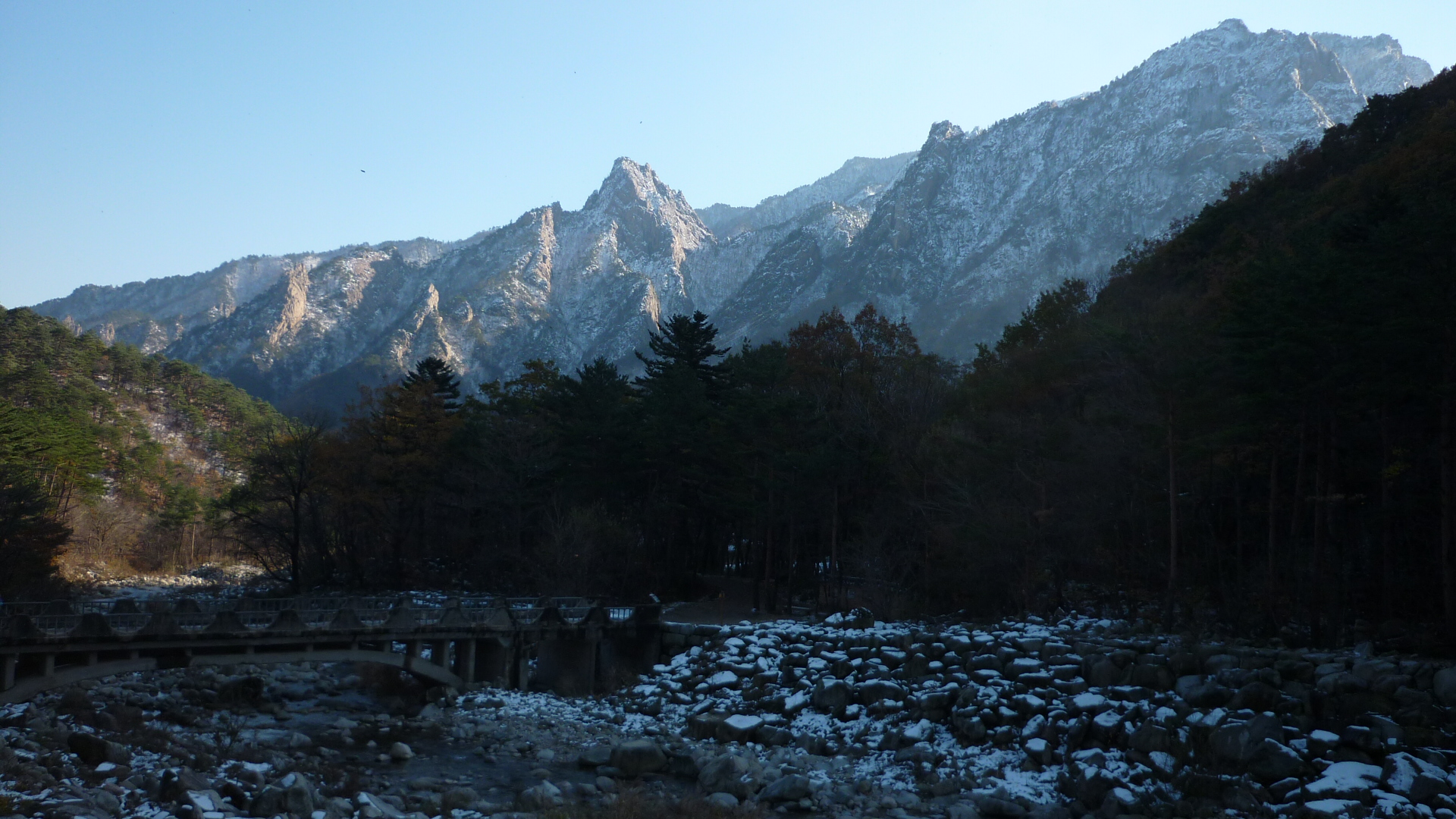 P1000517.JPG