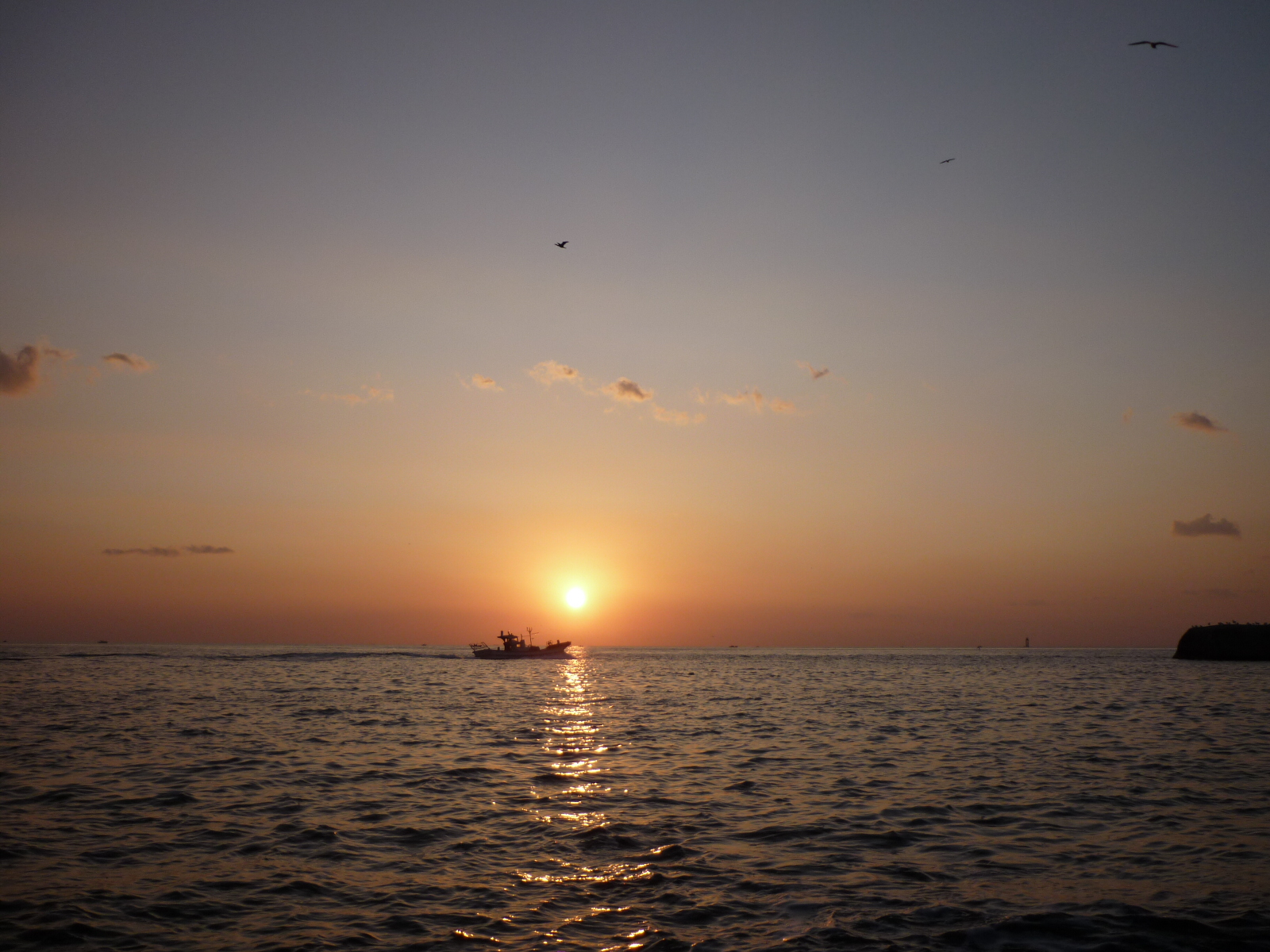 P1000629.JPG