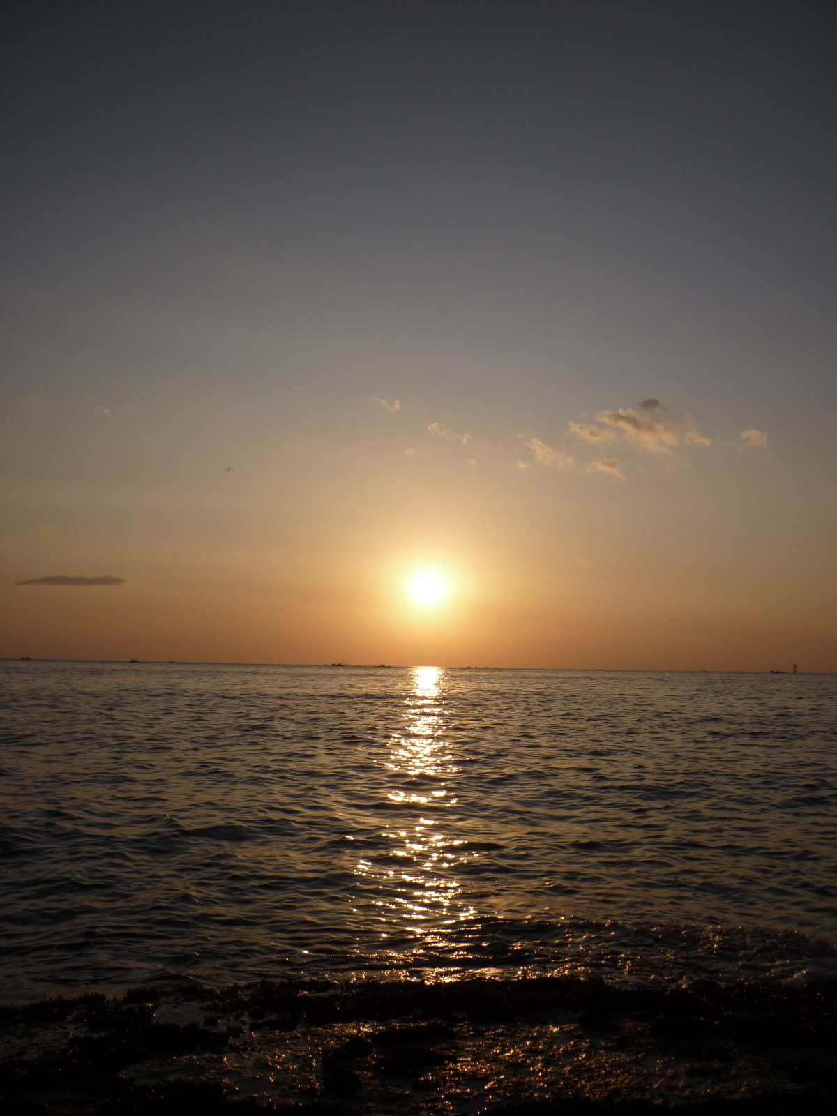 P1000630.JPG